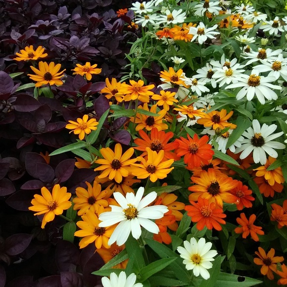 Welcome to my closet! 👋 I'm Anna - Picture 2 of 3